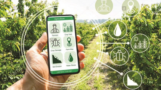 Phát động cuộc thi Khởi nghiệp đổi mới sáng tạo trong lĩnh vực nông nghiệp ứng dụng công nghệ cao năm 2025